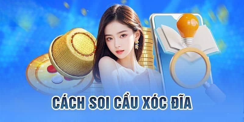 Khái quát chung về xóc đĩa năm 2024